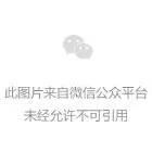 公司開展“以習近平法治思想為指引建設更高水平法治蒙電”為主題憲法宣傳周活動